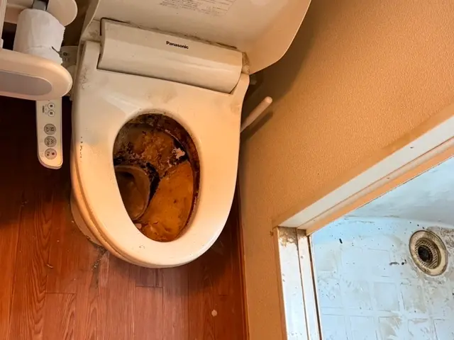 確かな技術と真心を込めてお部屋を綺麗に！！サービスの画像