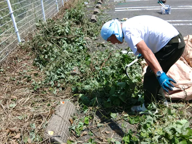 草刈り(刈払い機による作業)サービスの画像