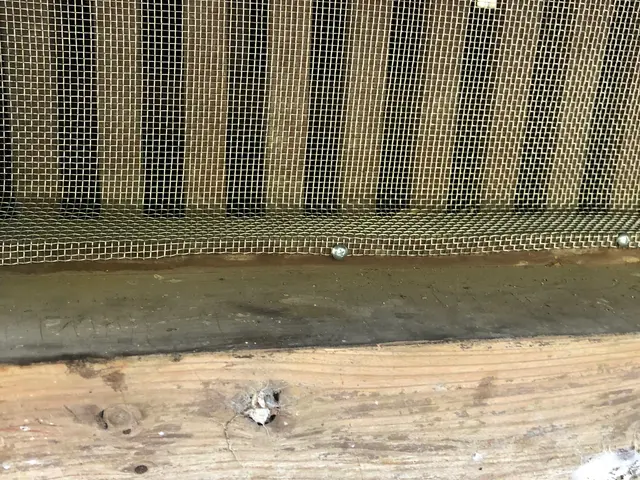 年中無休即対応◎関東は完全自社施工◎対応地域外ご相談歓迎◎毒餌は一切使用しませんサービスの画像