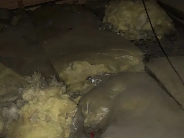 年中無休即対応◎関東は完全自社施工◎対応地域外ご相談歓迎◎毒餌は一切使用しませんサービスの画像