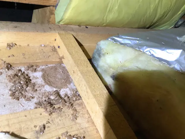 年中無休即対応◎関東は完全自社施工◎対応地域外ご相談歓迎◎毒餌は一切使用しませんサービスの画像