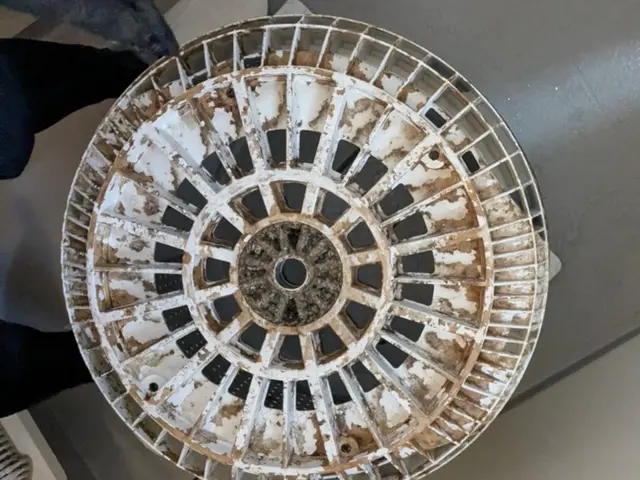 縦型洗濯機クリーニング（分解洗浄）サービスの画像