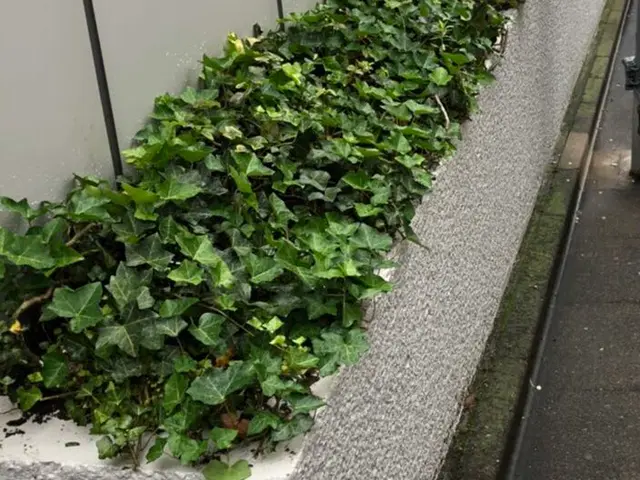 ☆業界歴23年☆外注作業一切なし！大手での経験も豊富です！サービスの画像