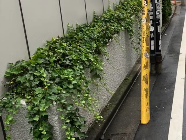 ☆業界歴23年☆外注作業一切なし！大手での経験も豊富です！サービスの画像