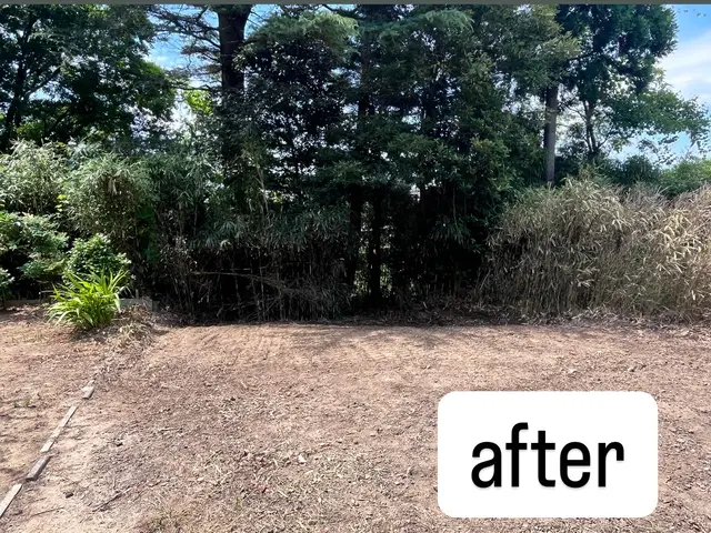 個人宅での豊富な実績！自社スタッフによる安心の庭木伐採・抜根サービスサービスの画像