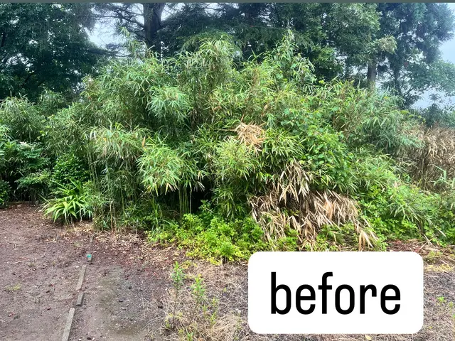 個人宅での豊富な実績！自社スタッフによる安心の庭木伐採・抜根サービスサービスの画像