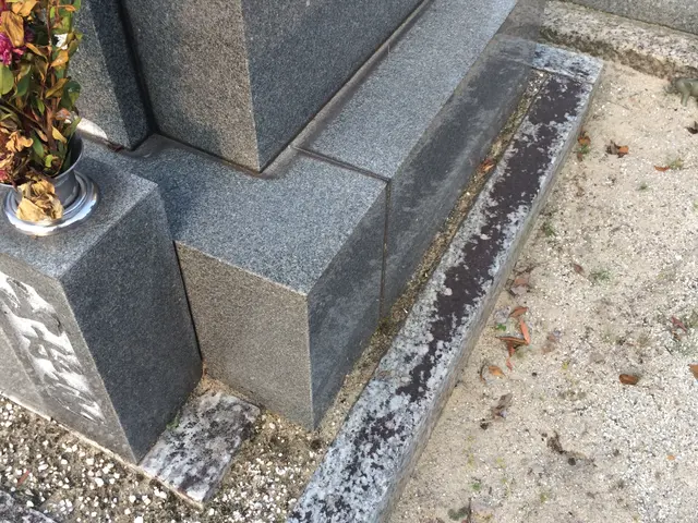 お墓クリーニングと墓石再生コーティングサービスの画像