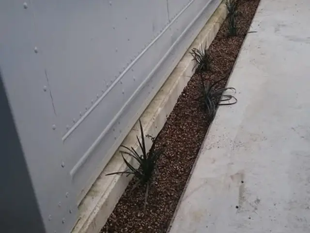 造園プロフェッショナルが丁寧に仕上げる！リピート率◎確かな実績と信頼のサービスサービスの画像