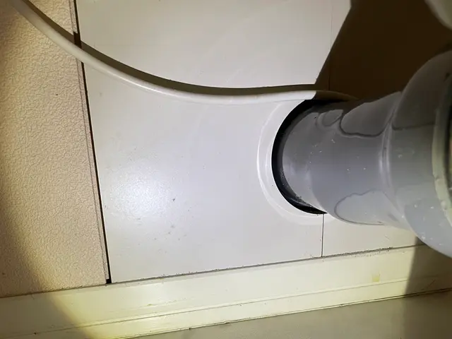 ゴキブリバスターズサービスの画像