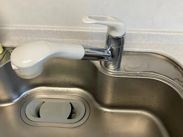 R7.8新規出店◎キッチンの水栓交換（修理も可能）【札幌市】サービスの画像