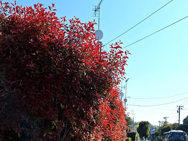 【年中無休で対応◎】プロの技術で快適な暮らしをお届けします！サービスの画像