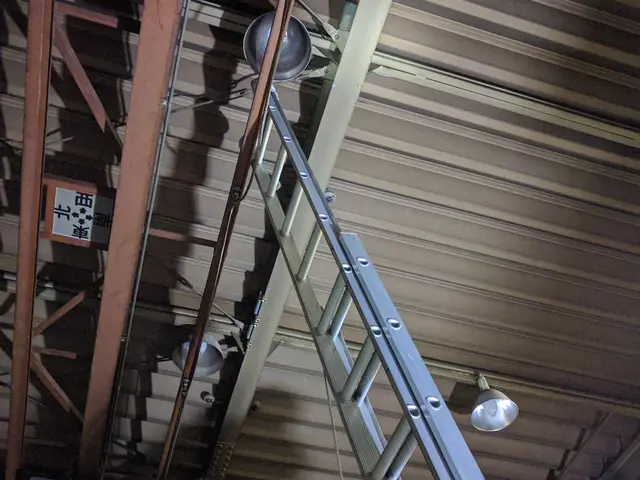 奈良県　高所の電球交換サービスの画像