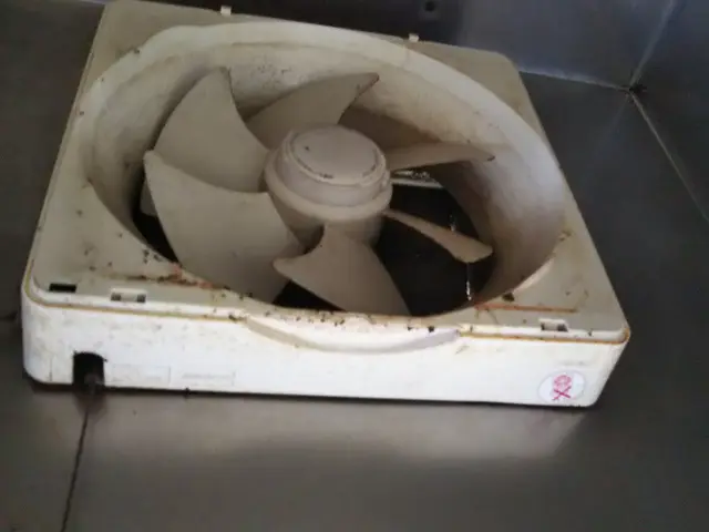 日本ハウスクリーニング協会員のハウスクリーニング士が対応します！損害保険加入済サービスの画像