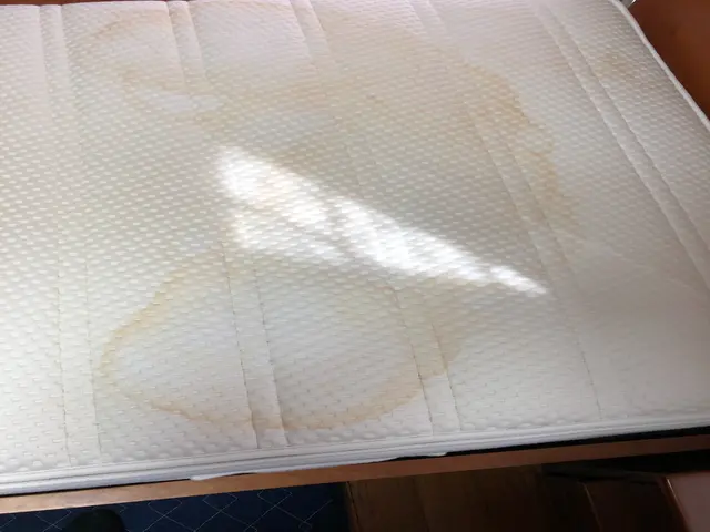 #清潔な眠りを取り戻す　#他社困難なシミ・カビも対応・1000件超のプロサービスの画像