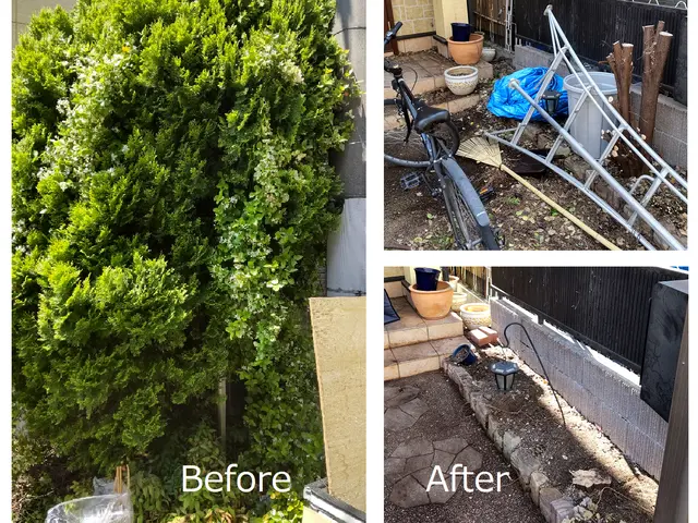 【職人歴30年！】手に負えなくなった木の伐採・伐根承ります！サービスの画像