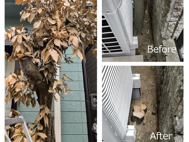 【職人歴30年！】手に負えなくなった木の伐採・伐根承ります！サービスの画像