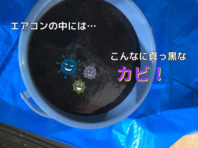 【女性スタッフ対応】☆完全分解でカビを撃退！空気をキレイにして健康に！☆サービスの画像