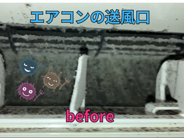 【女性スタッフ対応】☆完全分解でカビを撃退！空気をキレイにして健康に！☆サービスの画像