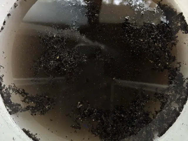 エアコンクリーニングサービスの画像