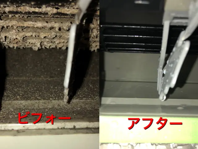 現金払いのご注文で抗菌コートが無料！当日、翌日予約空きあります。サービスの画像