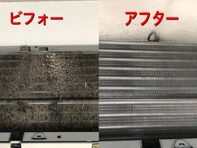 現金払いのご注文で抗菌コートが無料！当日、翌日予約空きあります。サービスの画像