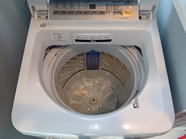 【10%オフキャンペーン】洗濯槽内部のカビも除去します♪（洗濯容量８kg未満）サービスの画像