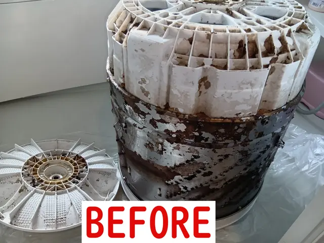 【10%オフキャンペーン】洗濯槽内部のカビも除去します♪（洗濯容量８kg未満）サービスの画像