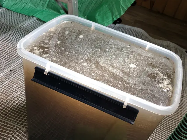 口コミ投稿のお約束で抗菌コート無料！高濃度次亜塩素酸水で徹底除菌！サービスの画像