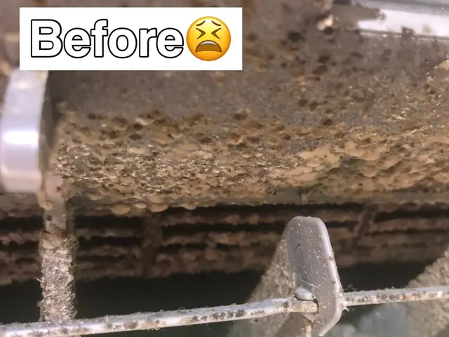 口コミ投稿のお約束で抗菌コート無料！高濃度次亜塩素酸水で徹底除菌！サービスの画像