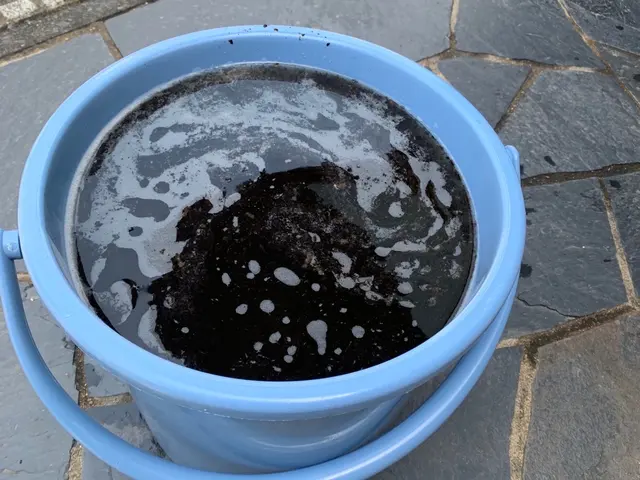 【千葉県内エリア対応】予約から施工まで100%自社対応◎冬大特価セール開催中！サービスの画像