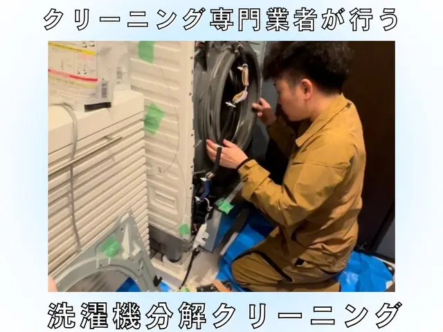 洗濯槽丸ごと分解洗浄♬.*ﾟワカメ、臭いの改善！ご出産の準備に！サービスの画像