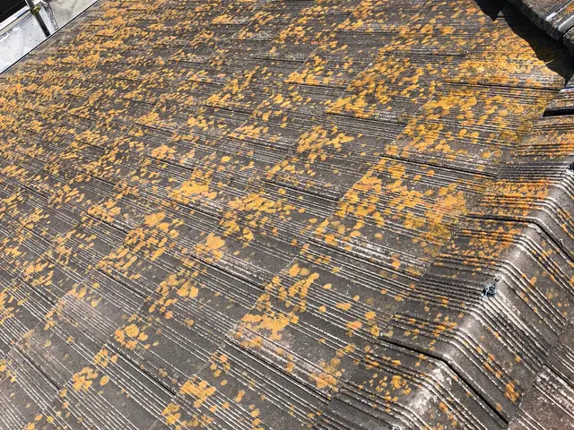 ◆塗装一筋25年の実績！◆年中無休◆お客様のご要望に沿った施工・損害保険加入店！サービスの画像