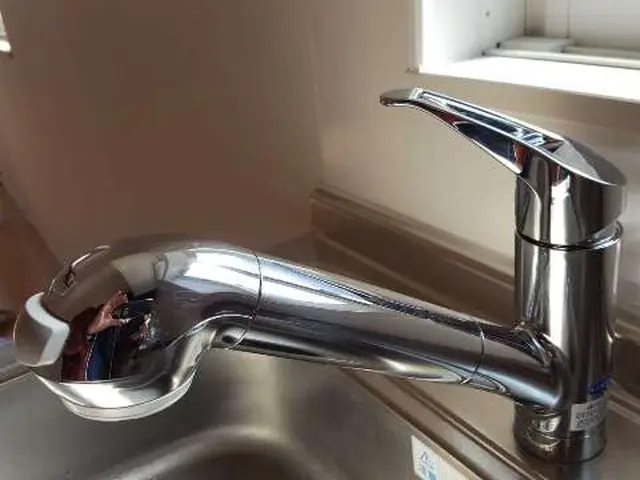 《年中無休》損保保険加入済、シンク内水垢汚れ完全除去、サービスの画像