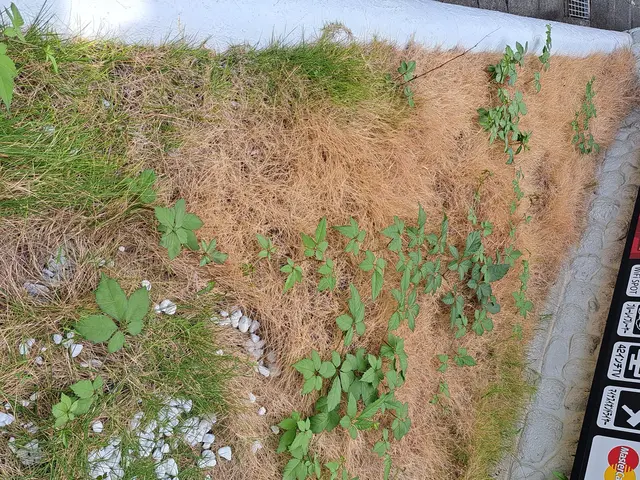 クレジット決済可能●防犯！防草！に砂利敷きがおすすめです!是非ご検討ください。サービスの画像