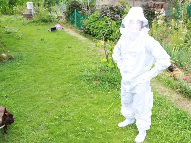 蜂の巣駆除10月末まで特別割引価格！即日対応可能サービスの画像