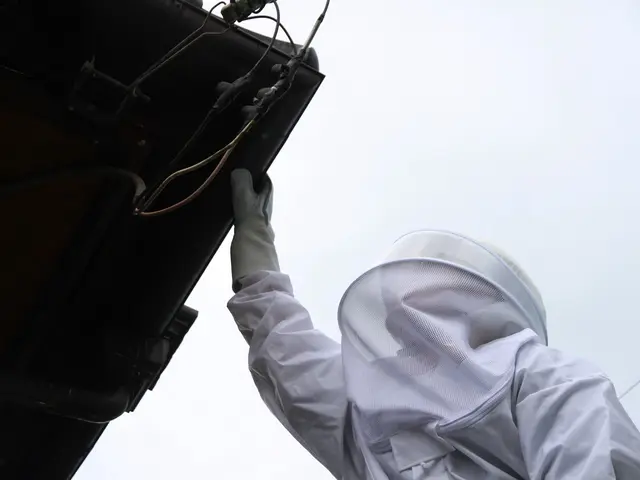 蜂の巣駆除10月末まで特別割引価格！即日対応可能サービスの画像