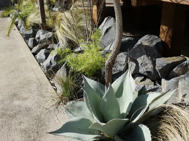 和洋問わず庭づくりを得意としています。心休まる空間を提供させてください。サービスの画像