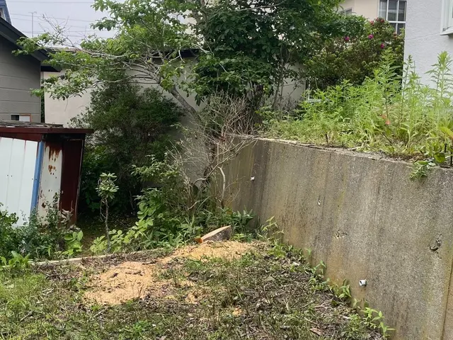 庭木の伐採・抜根 整地も別途対応可能サービスの画像