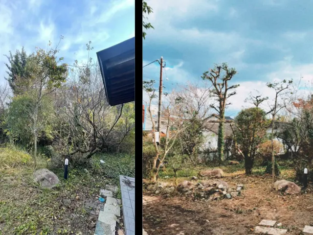 PayPay・クレジットカード対応☆キレイと元気をお届け！処分費込み表示です！サービスの画像