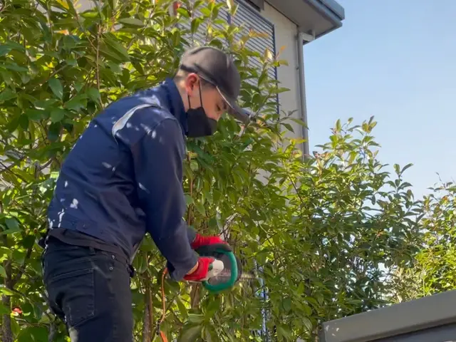 PayPay・クレジットカード対応☆キレイと元気をお届け！処分費込み表示です！サービスの画像