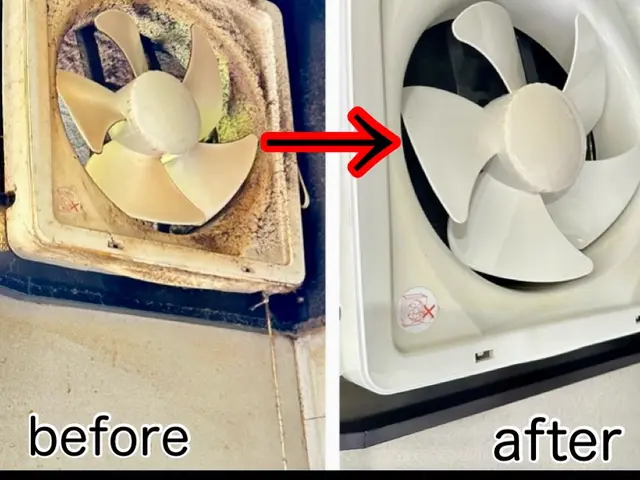 損害保険に加入済み◎女性スタッフ活躍中！その他クリーニングも当店へお任せくださいサービスの画像