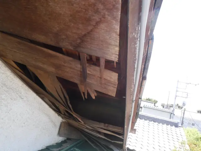 【防除資格保有者で安心】損害保険加入済◉あなたの心配事は㈱住環にお任せください。サービスの画像