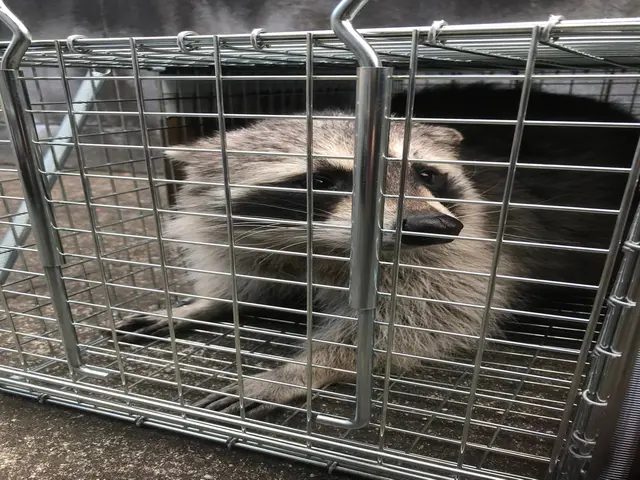 【防除資格保有者で安心】損害保険加入済◉あなたの心配事は㈱住環にお任せください。サービスの画像