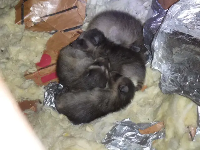 【防除資格保有者で安心】損害保険加入済◉あなたの心配事は㈱住環にお任せください。サービスの画像