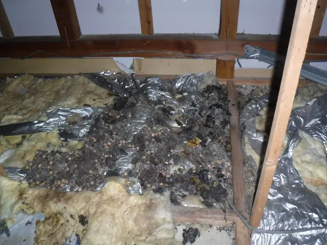 【防除資格保有者で安心】損害保険加入済◉あなたの心配事は㈱住環にお任せください。サービスの画像