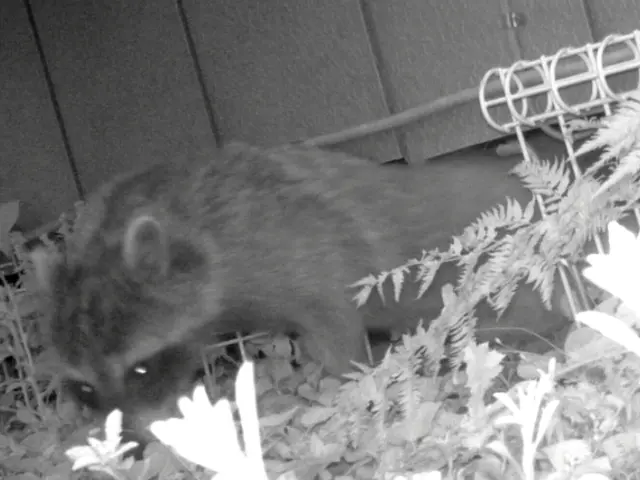 【防除資格保有者で安心】損害保険加入済◉あなたの心配事は㈱住環にお任せください。サービスの画像