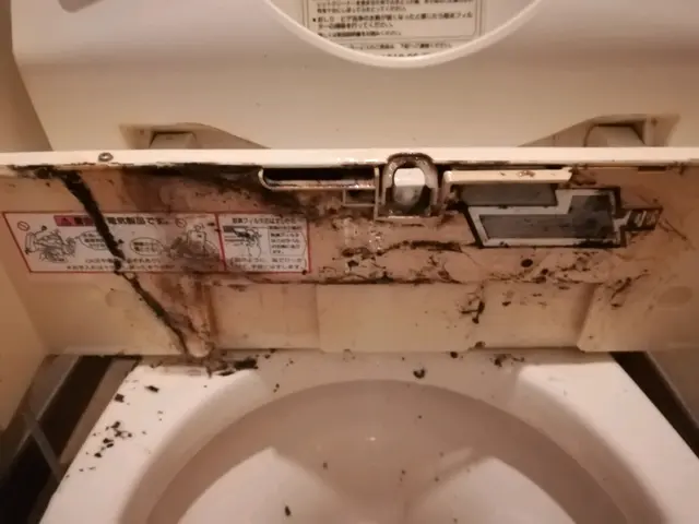 ★ハウスクリーニング士資格在籍サービスの画像