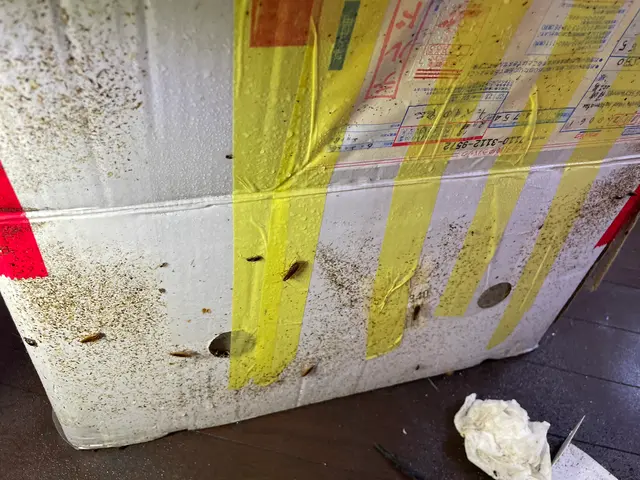 当店はチャバネゴキブリ駆除に特化しております。インボイス登録事業者です。サービスの画像