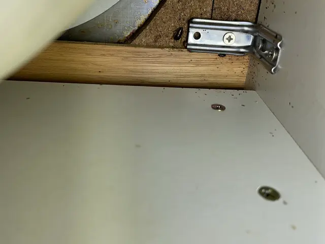 当店はチャバネゴキブリ駆除に特化しております。インボイス登録事業者です。サービスの画像