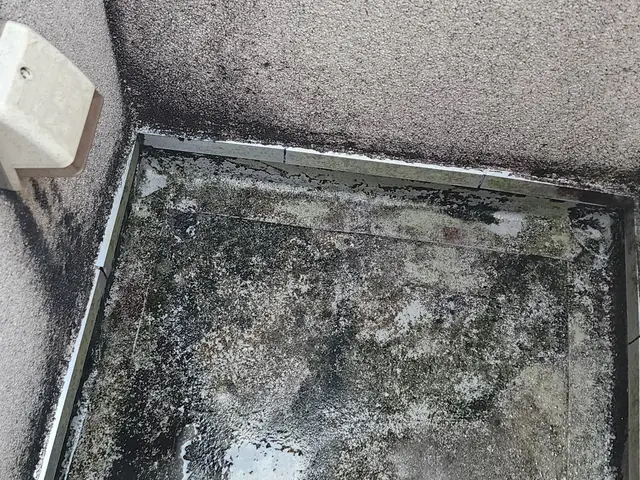 PayPay対応！(現金払いを選択) 2026年運気向上の為にベランダを綺麗に！サービスの画像